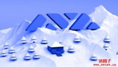 从雪花到雪崩：AVAX到底有何魅力？