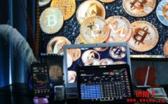 疫苗验证系统的实用解决方案：区块链技术