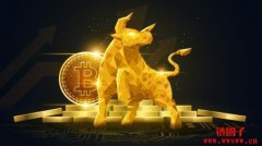 由于通胀担忧推高比特币价格，摩根大通认为比特币前景“看涨”