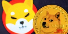 「狗狗杀手」成真！柴犬币暴冲甩开狗狗币，市值跃全球第9 大