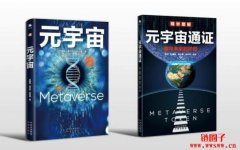 《元宇宙》作者认为元宇宙泡沫将持续2年！