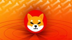 马斯克说shib可以涨到一美元真的有可能吗？
