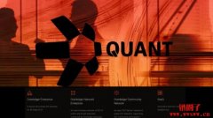 什么是Quant及QNT代币简介