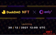首个去中心化风投DuckSquad即将登陆Only1