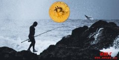0.01%地址控制27%比特币流通，但财富的
