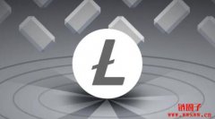 什么是莱特币(LTC)？莱特币如何运作？