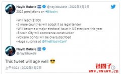 萨尔瓦多总统Nayib Bukele：比特币今年反弹攻上10万美元