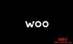 币安创投策略投资WOO Network 1200万美元