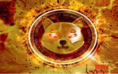 柴犬币能成为元宇宙竞赛的赢家吗？