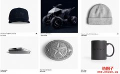 Tesla接收狗狗币支付！共几种商品可以购买？又需注意