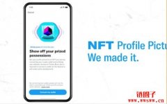 不用再怕复制粘贴？Twitter 于 iOS 推出NFT头像认证功能