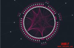 Polkadot链生态介绍：波卡链上的项目有哪些？