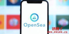 NFT 因OpenSea漏洞遭「贱卖」！德州男提告求偿100万美元