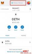 如何将雪崩(Avalanche)共识协议添加至MetaMask？