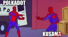 介绍平行链联盟Polkadot的插槽拍卖与金丝雀网络
