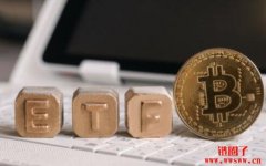 SEC批准Teucrium比特币期货ETF，各界看好GBTC转型现货E