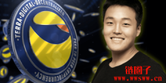 持仓量快追上特斯拉！Terra 再加码购入1亿美元比特币