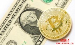 谁在买入比特币？细数比特币的五大