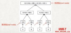 Sparse Merkle Tree 的优点及用途