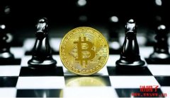 比特币将在未来15至20年被更具创新能力的生态系统超