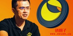 币安CEO赵长鹏：LUNA、UST 只是愚蠢，并非骗局