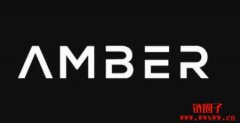 WhaleFin 是什么？与Amber Group有什么关系