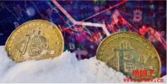 加密寒冬来袭HODL不住！投资公司Cyp