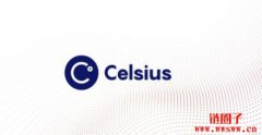 Celsius 资产对股东权益比曾接近一般美