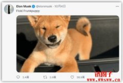 马斯克说SHIB币可以涨到一美元是真的吗？
