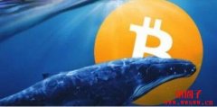 巨鲸3天转走13万枚比特币！专家：不