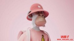 HAPEBEAST 是什么？HAPEBEAST有什么魅力获得广泛关注？