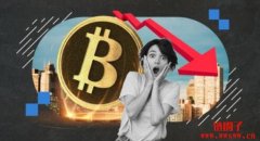 5个比特币并未死亡的原因，尽管比特