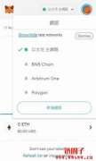 【MetaMask教学】小狐狸钱包如何新增其他链(网络)