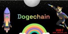 狗狗链上线掀热议、宣称由DOGE推出！