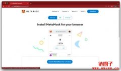 MetaMask：你的第一个区块链(ETH/ERC-20)电子钱包
