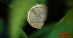 Energy Web将为矿工推出永续能源使用的