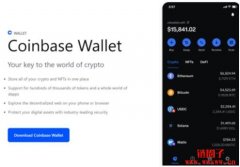 如何在Coinbase Wallet 上使用Avalanche 网络