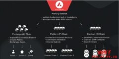 Avalanche Subnet如何在公链竞争中异军突起？