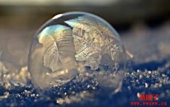ICO存活率不到1%，NFT项目可能更低？