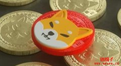 屎币怎么购买?屎币(SHIB、柴犬币)买入教程新手篇