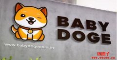 Babydoge币：一种可爱又有咬劲的迷因加密货币