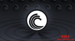 什么是BitTorrent（BTTC）？