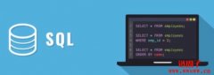 Dune Analytics 零基础入门教学