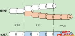 什么是分叉？如何区分硬分叉与软分叉？