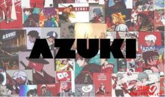 Azuki将完成3000万美元的融资，NFT价格