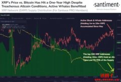 巨鲸大户带头冲？瑞波币XRP涨势如虹、单周飙升67%！