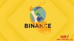 币安为Lunc燃烧税启动民调，将由用户自行选择