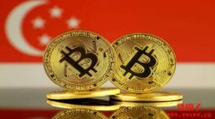 加密崩盘事件频发，新加坡真的是加密天堂吗？