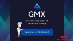 热度直上的GMX是什么，详解GMX币设计及潜在风险