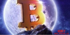 今年重挫60%也不怕！方舟：比特币将飙破100万美元
